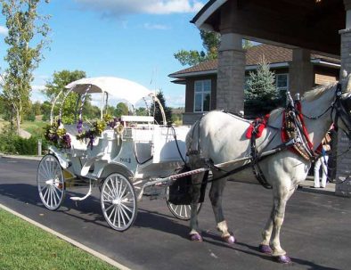 horse drawn carriage in front of clubhouse